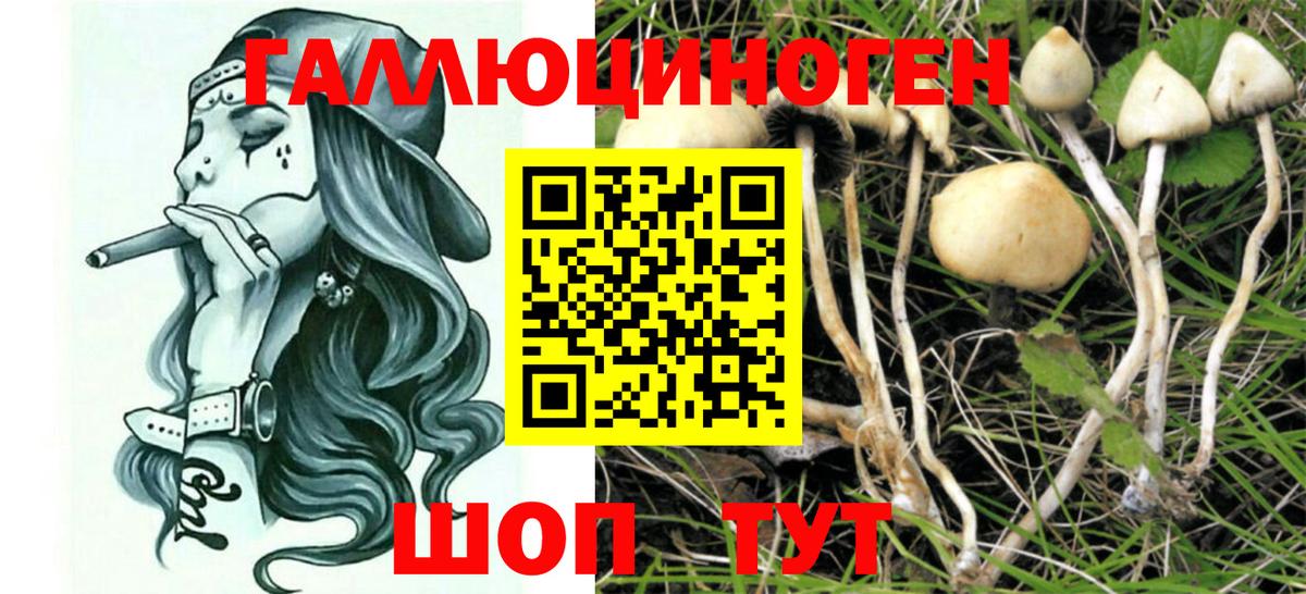 Галлюциногенные грибы Magic Shrooms  Вход с VPN  Славянск-на-Кубани 
